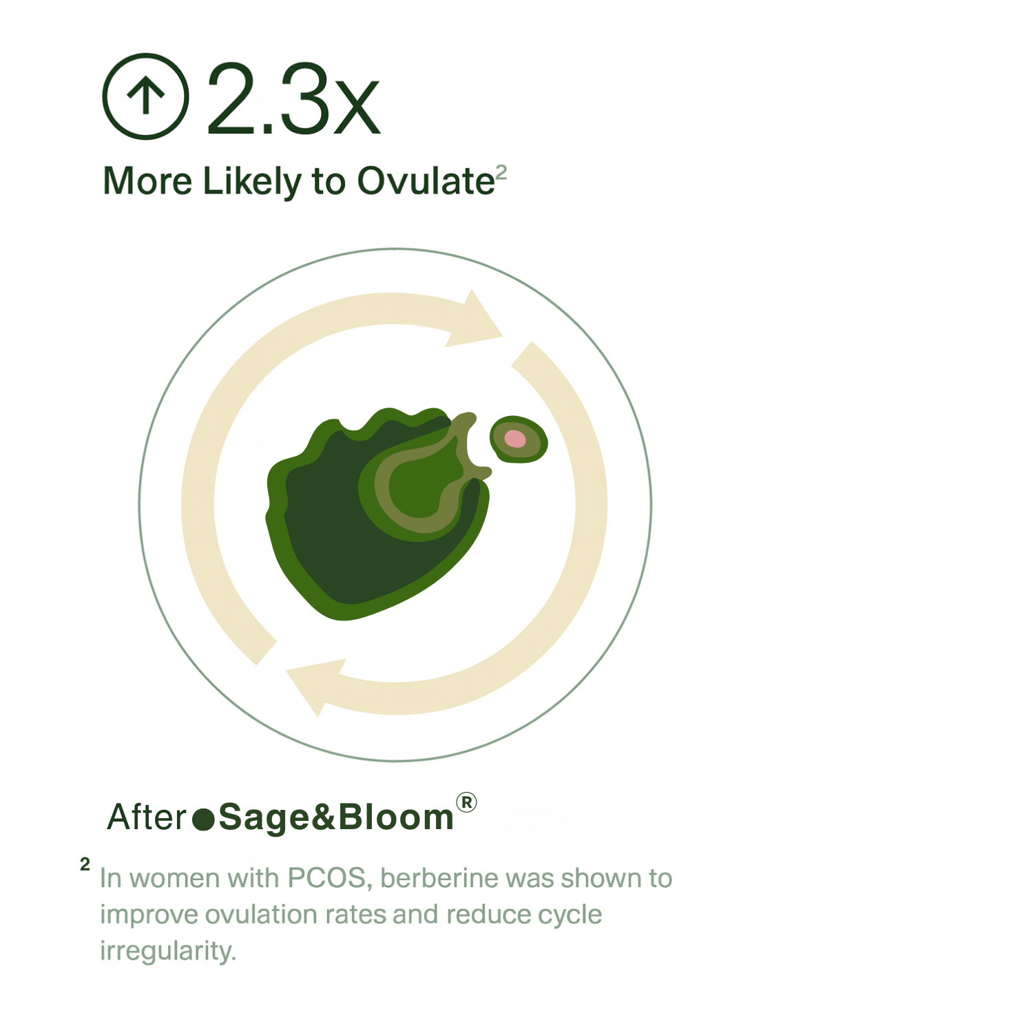 Berberine SyncCycle®: Daily Rhythm Supplement