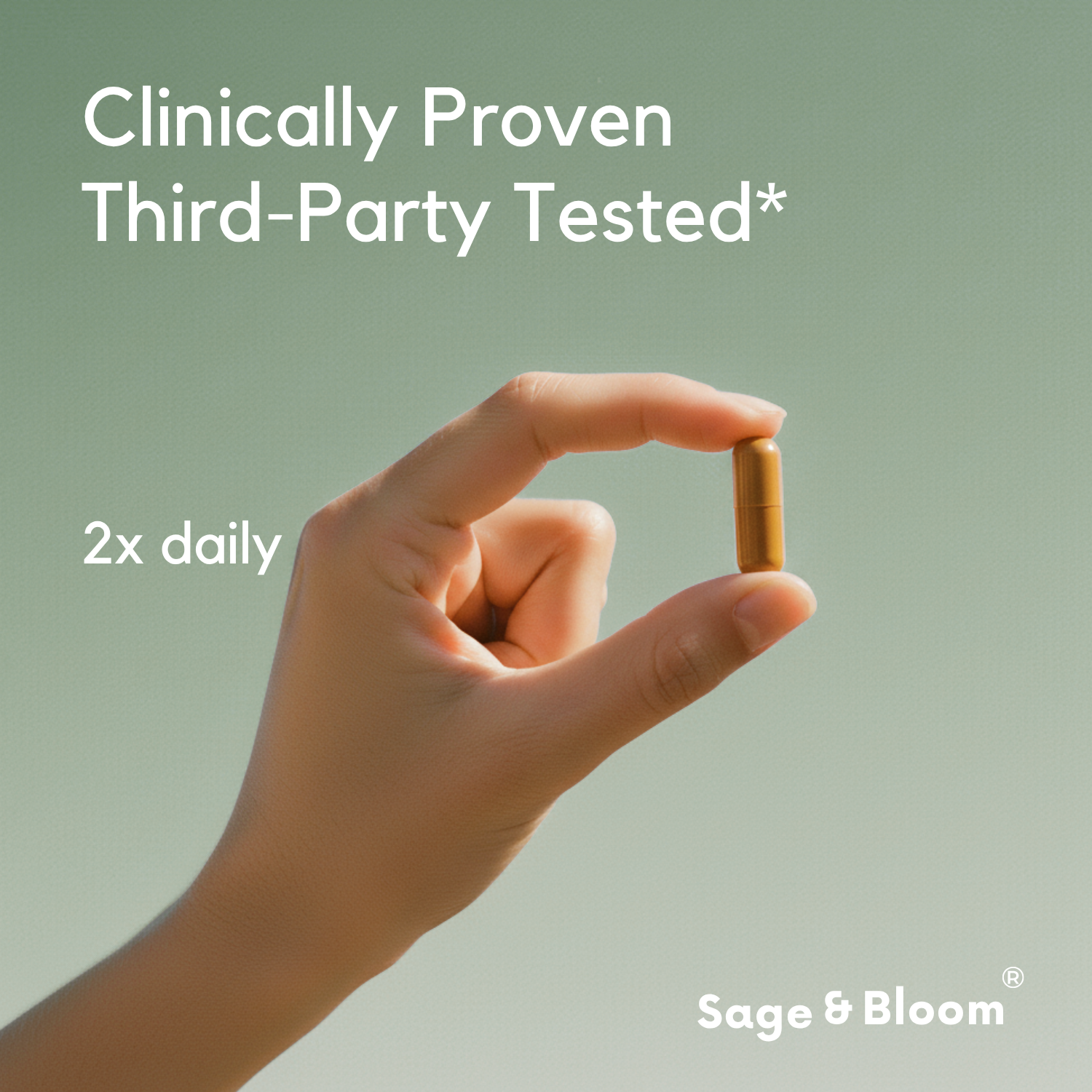 Berberine SyncCycle®: Daily Rhythm Supplement